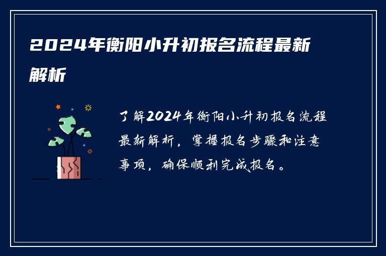 2024年衡阳小升初报名流程最新解析