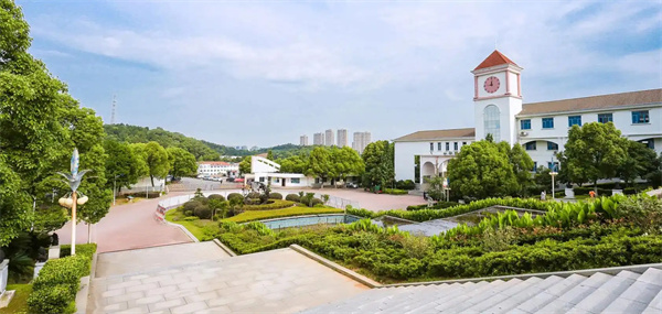 大学退学复读：小盏的逐梦之旅与成长启示