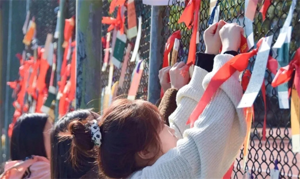  湖南山枫木悦单招基地环境​