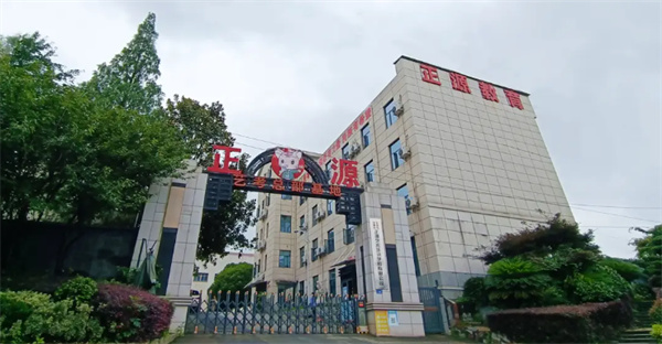 长沙正源艺术培训学校