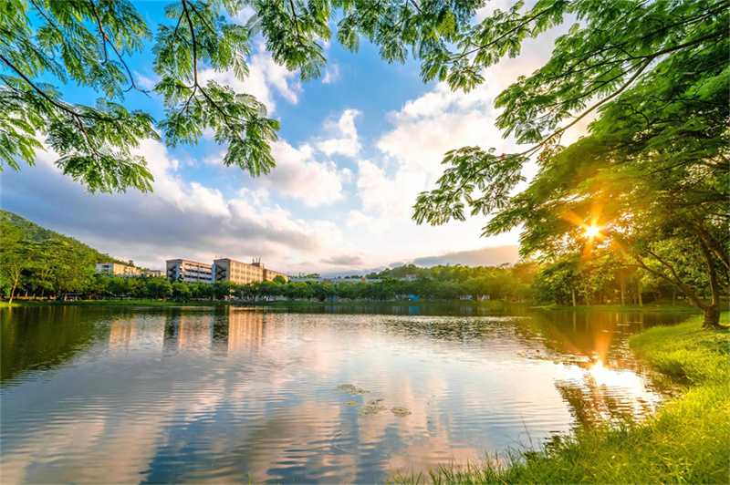 _娄底市金海学校复读生收费_娄底金海复读学校招生热线电话