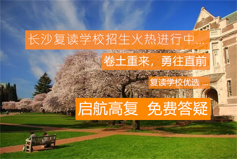 艺考生复读一年是否值得？需要综合考量多方面因素