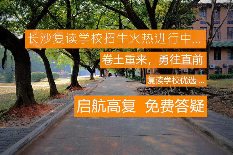 驾着筋斗云来接你的东安好汉：一段传奇故事的精彩解读