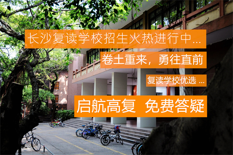 辰溪博雅 高中生物教师(青年教师)的职业发展与教学经验分享