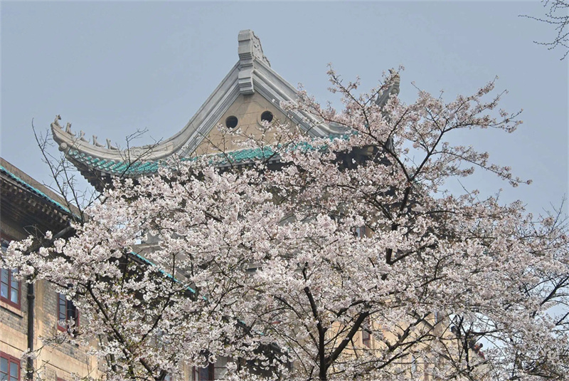 益阳市沅江玉潭学校学校地址详细介绍及具体位置在哪