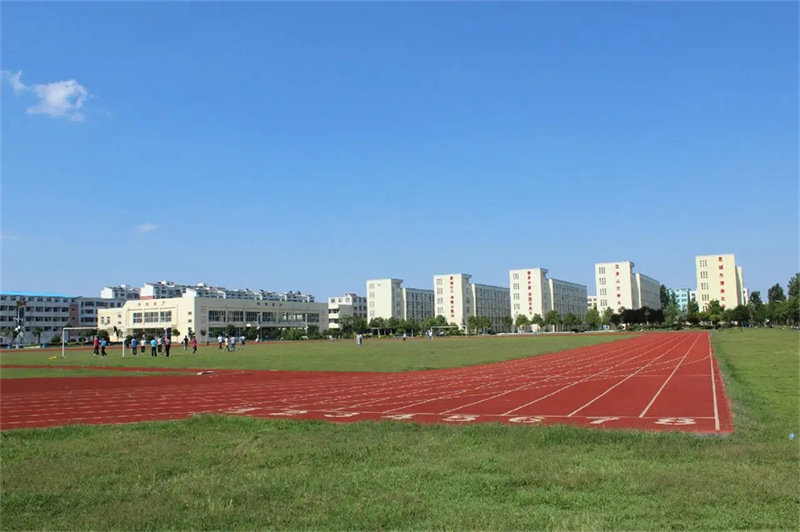 _长沙市新中考政策各校情况分析_长沙市新中考