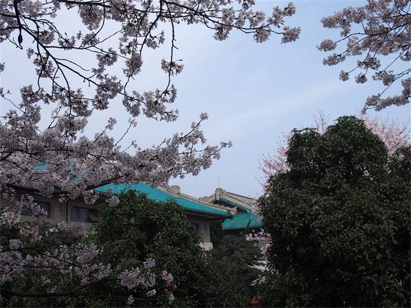 湘潭科旺中等职业学校2025年跨市州招生计划详情
