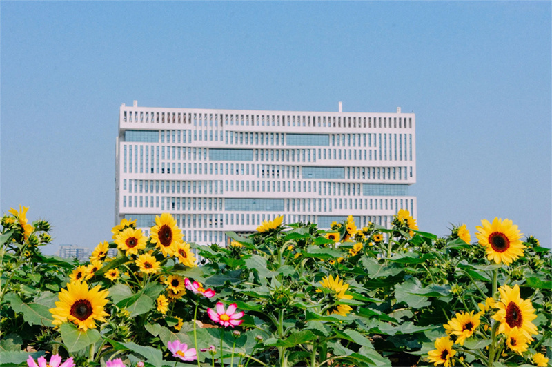 湖南省岳阳市华容县田家湖学校_华容师范田家湖学校_华容师雅田家湖学校