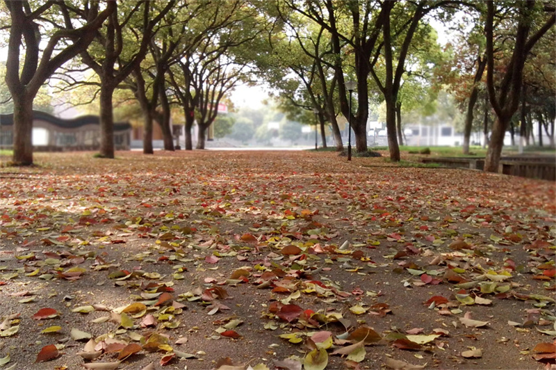 长沙市芙蓉区复读学校__长沙芙蓉高考复读学校