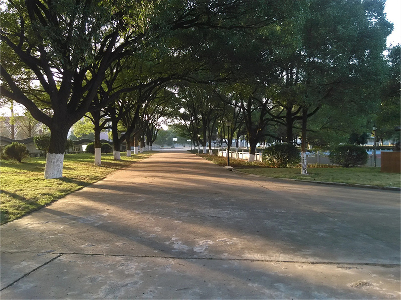 长沙市同升湖高级中学，一所独具特色的优质学府