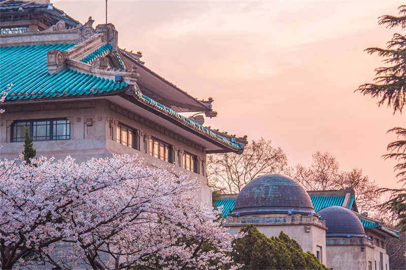 _旅游外事职高_旅游外事职业学院