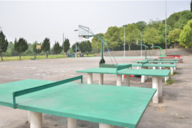 岳阳市君山区职业技术学校