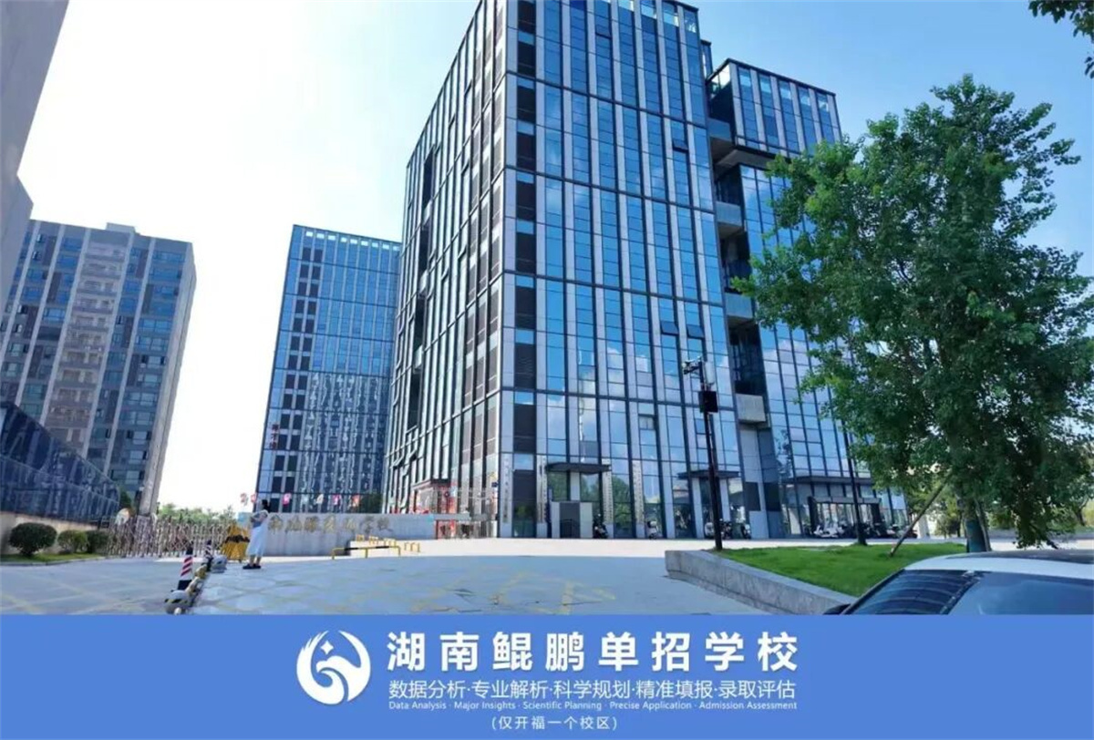 湖南鲲鹏单招 2026 招生简章