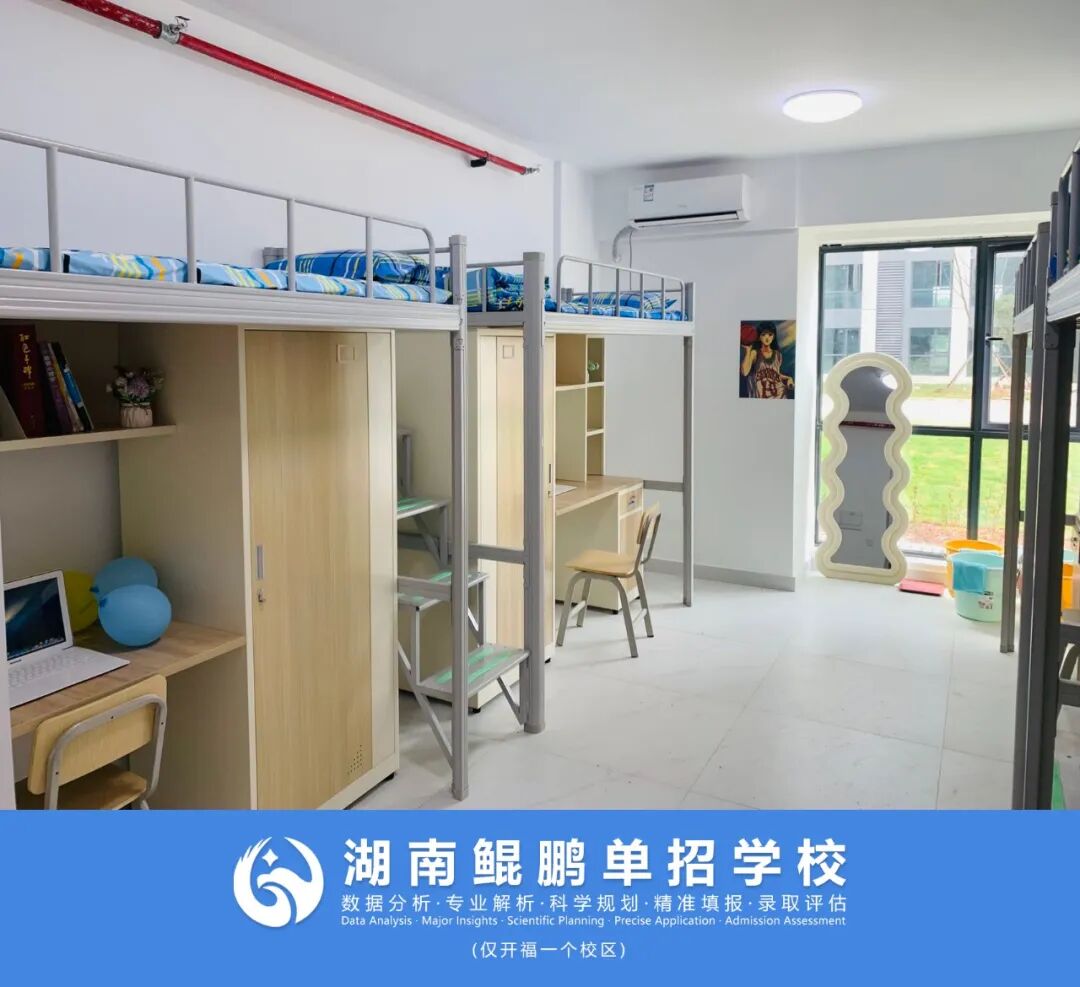 湖南鲲鹏单招 2026 招生简章