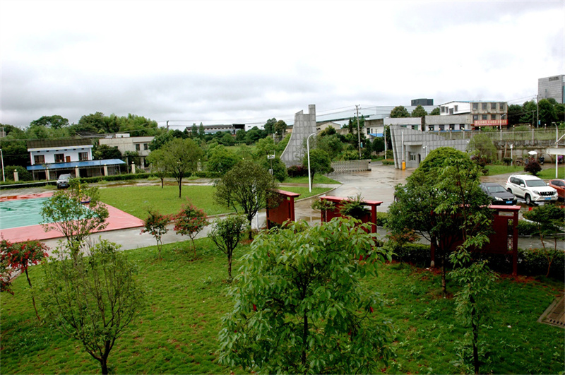 2026湖南高考录取率及录取人数汇总 共录取多少考生