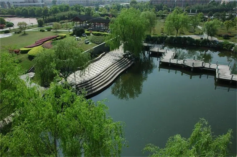 复读单招__复读单招怎么报名