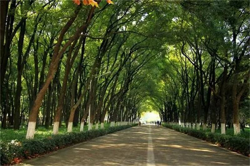 _职高复读生可以参加单招吗_职高生复读可以参加普通高考吗