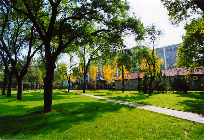 _2020年体育单招需要的条件_参加体育单招考试的要求