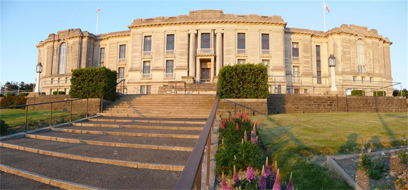 艺考没过怎么办?复读、走单招还是专攻文化课