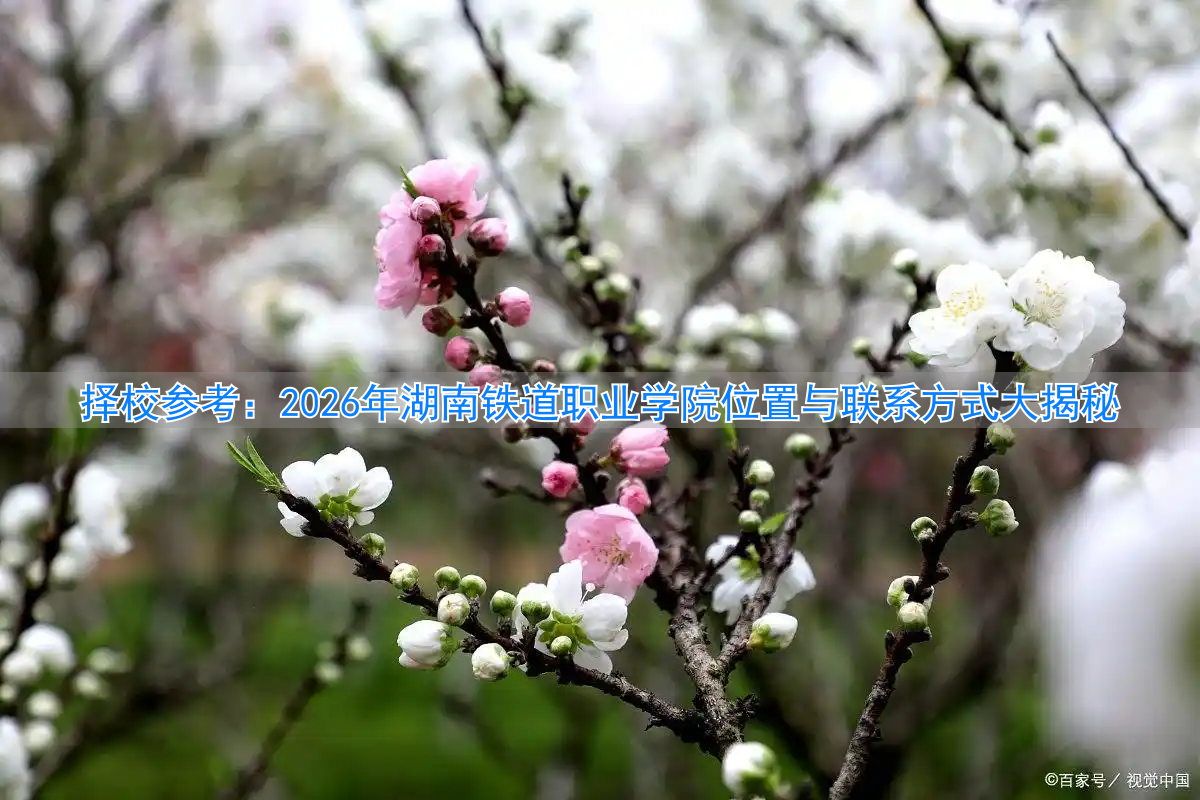 湖南铁路学校五年大专有哪些_湖南铁道职业学校专业_