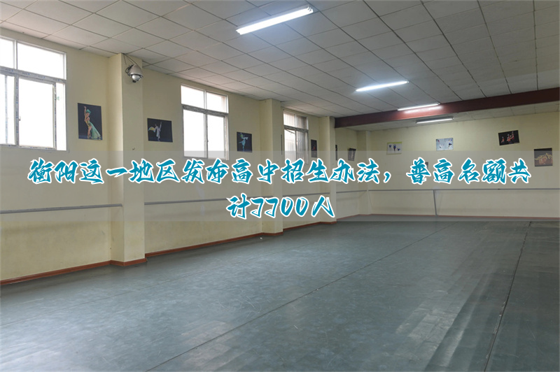 _衡阳市高中招生计划_衡阳市2021年高中招生方案