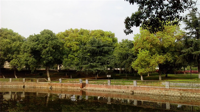 _单招是指_单招是个啥意思