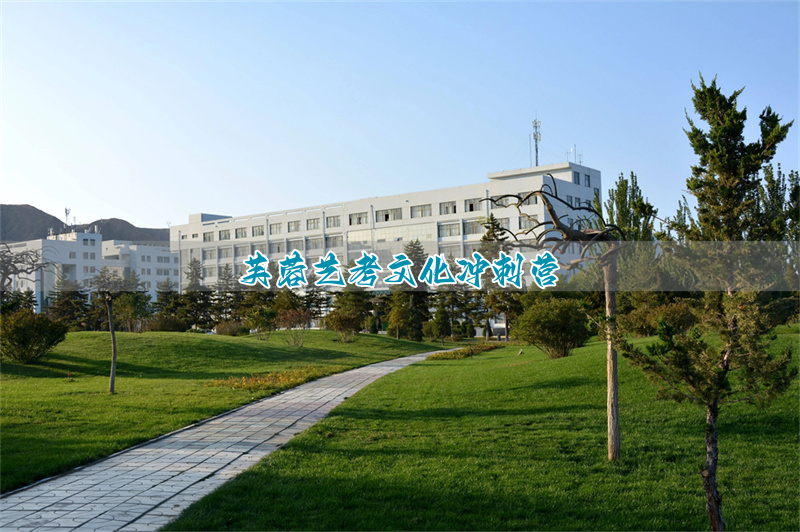 芙蓉区舞蹈培训机构__芙蓉镇艺术考察报告