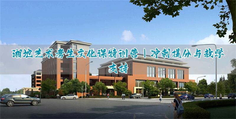 _湖南艺考生文化课培训_湖南艺考生文化课集训机构