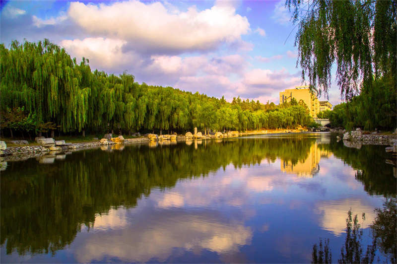 预报名名额是什么_招生名额什么意思_