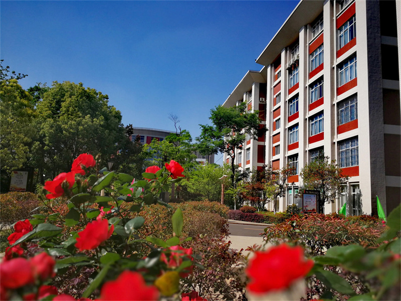 长沙艺考复读学校__长沙画室复读