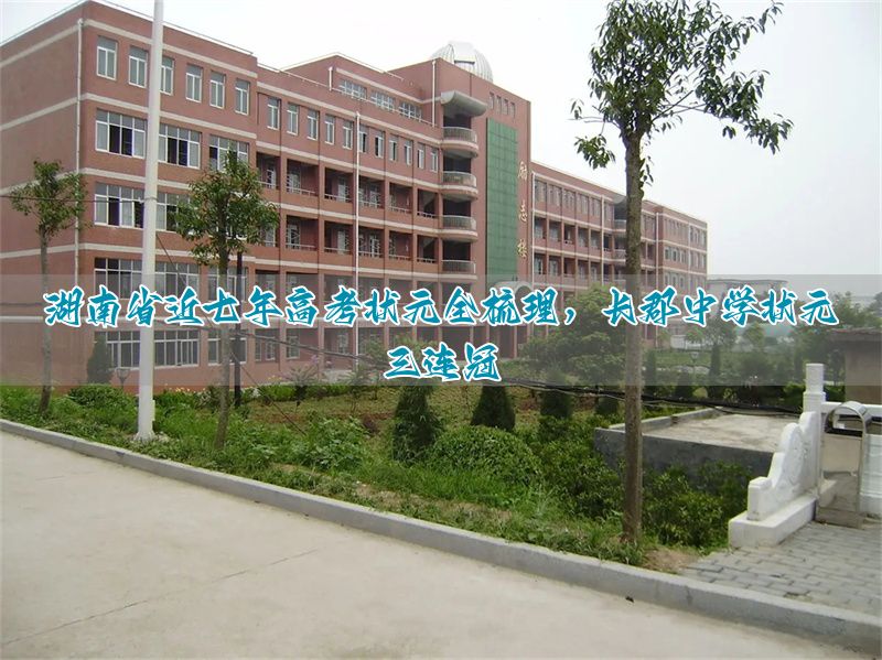 _湖南状元分数_湖南语文状元