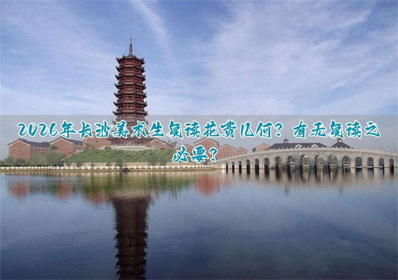 复读生学美术_湖南美术生复读一年费用_