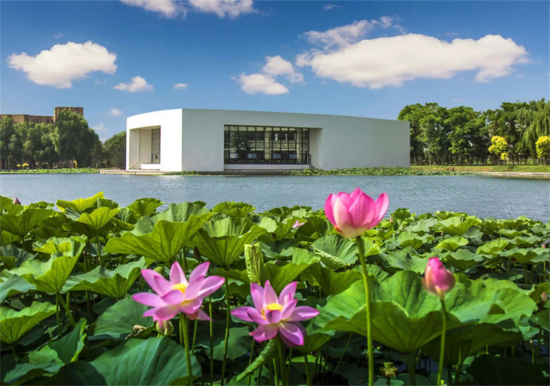 _全国数学卷难度_全国十大数学难题