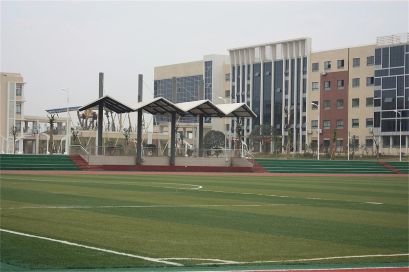 _没有人会一直破防除非22届考生 史上最惨的一届_没有人会一直破防除非22届考生 史上最惨的一届