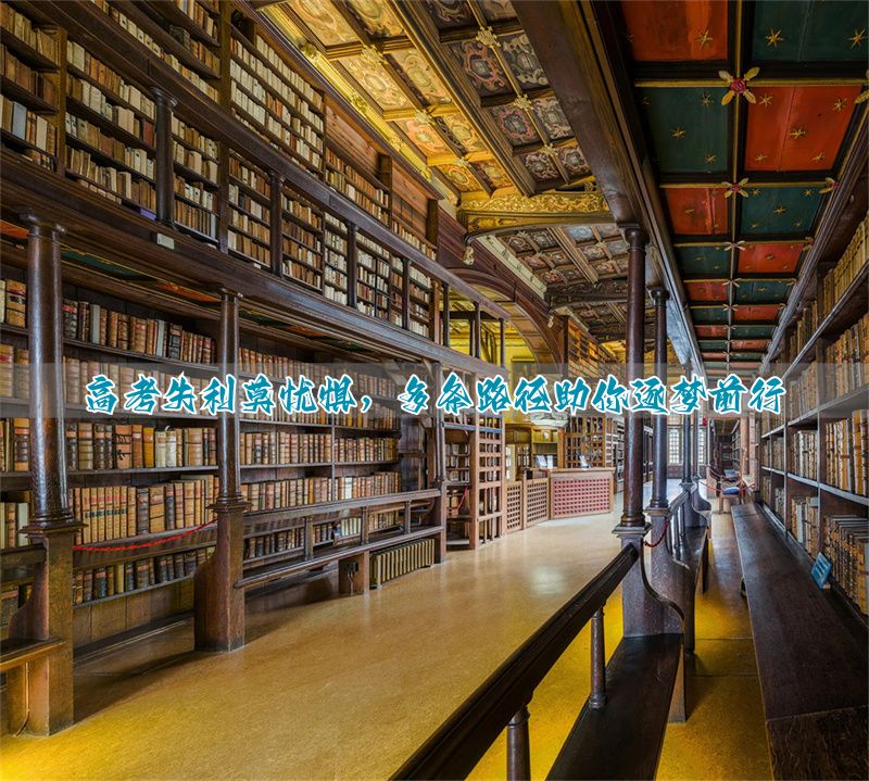 用行动实现梦想作文__落榜生的几种出路