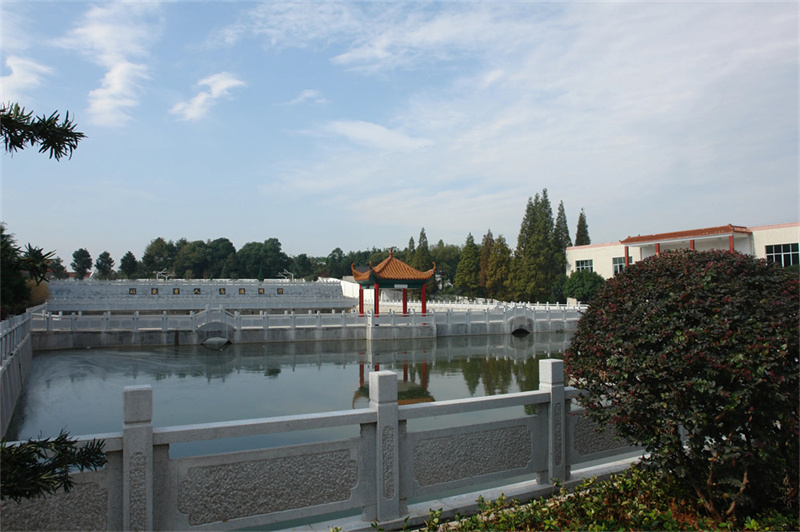 长沙芙蓉高考学校__长沙芙蓉高中