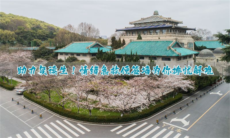 情绪急救完整版pdf_情绪急救读后感1500字_