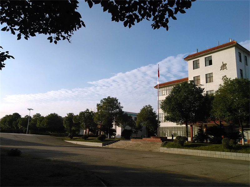 益阳高考复读学校有哪些__湖南省益阳市复读学校