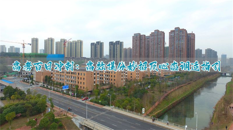 高考冲刺心得__高考冲刺阶段心态
