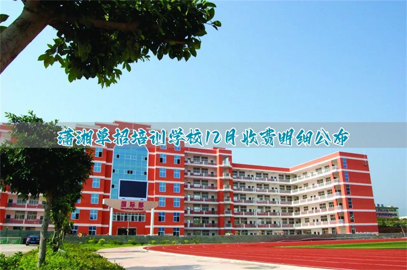 _湖南大美艺术_湖南大美美术学校