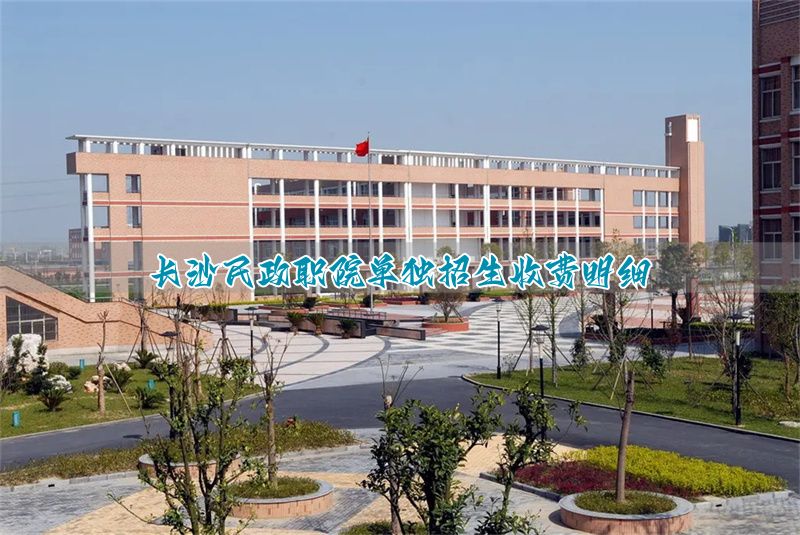长沙民政学院单招专业_长沙学院单招吗_