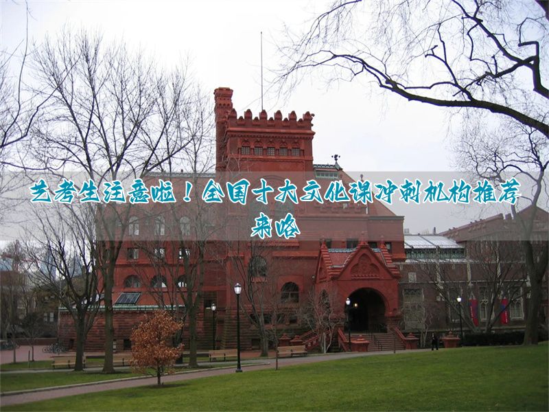 _艺考文化冲刺班哪家好_艺考文化课冲刺艺考辅导