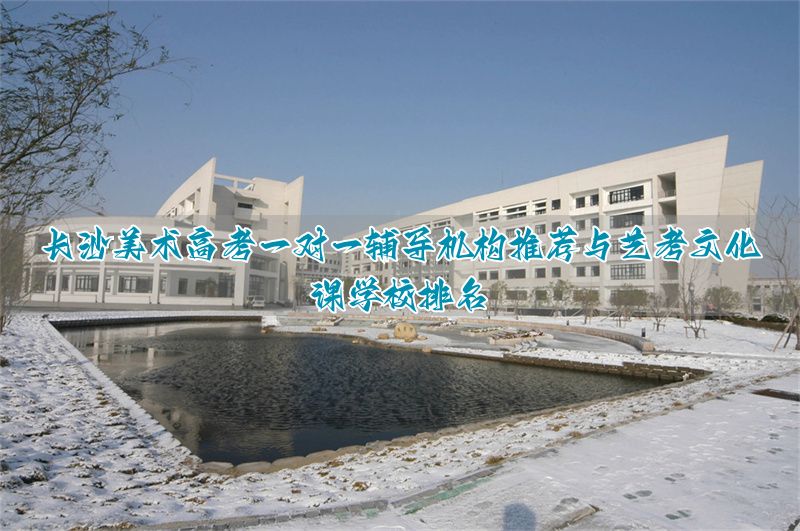 长沙最好的美术集训地方_长沙高考美术集训哪里比较好_