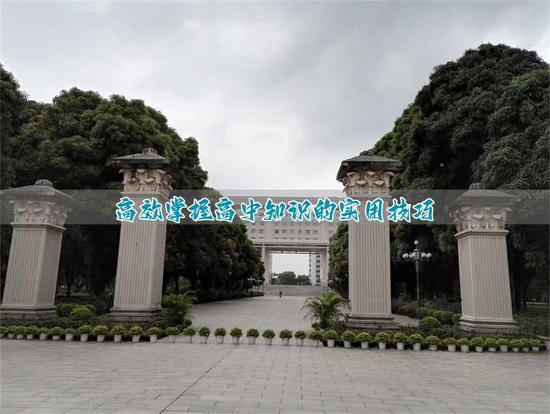 _高中高效学方法_高中高效方法