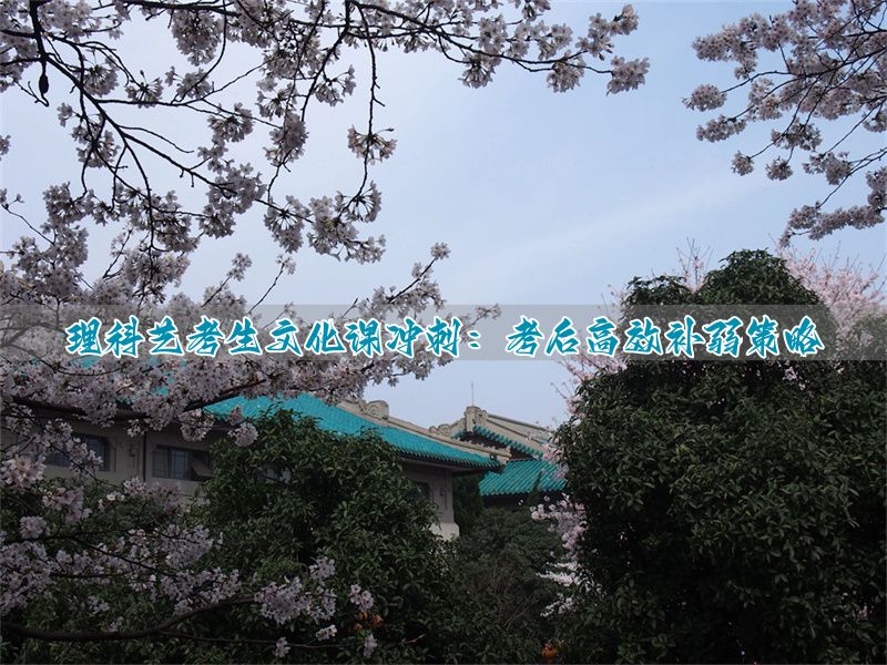 艺考补课文化课_理科补课结束艺考文化生怎么办_