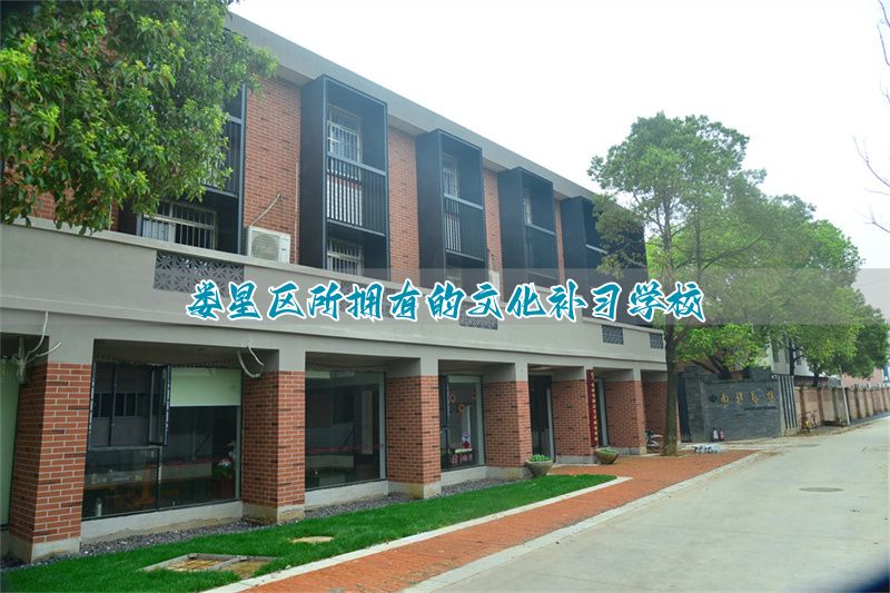 娄星区所拥有的文化补习学校