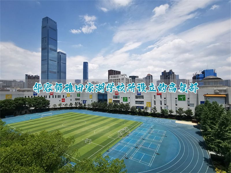 华容师雅田家湖学校所设立的高复部