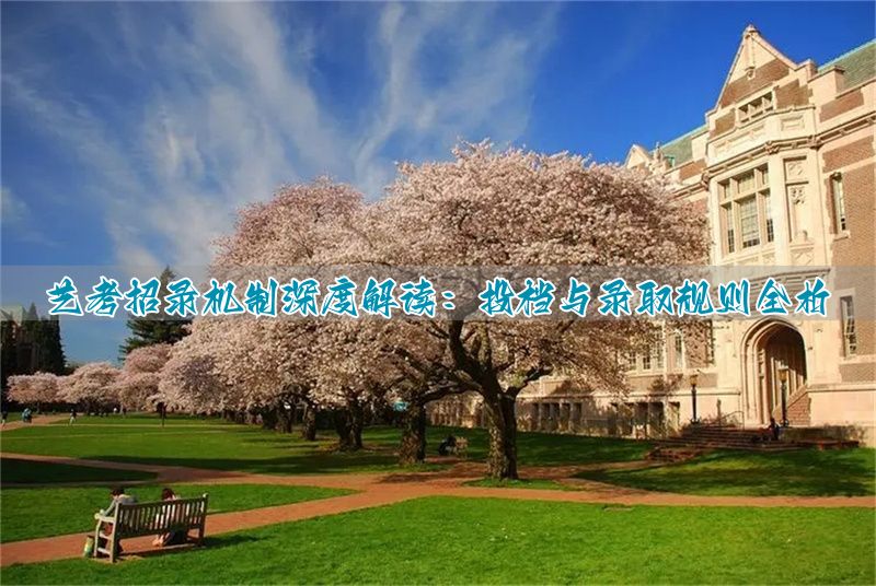 艺术类投档分什么意思__艺术类投档线是什么意思啊