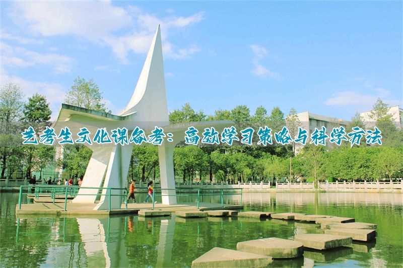 _艺考生如何学好文化课_文化课艺术课相互促进