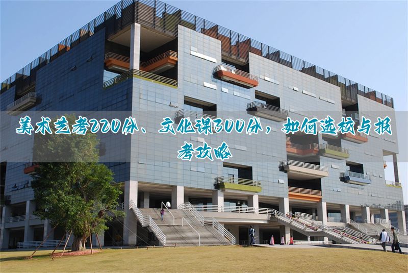 美术可以靠文化上大学吗_美术生可以走文化课吗_